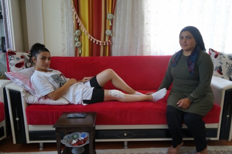 Kastamonu'da sokak k&ouml;pekleri gen&ccedil; kıza saldırdı
