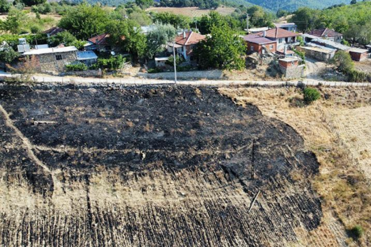 AFAD a&ccedil;ıkladı: Yardım &ouml;demeleri başladı