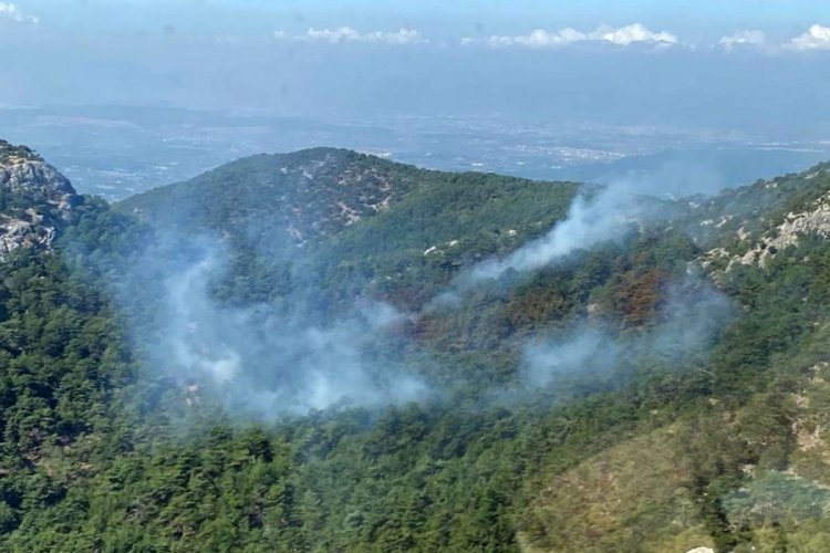 İzmir'deki orman yangını kısmen kontrol altında