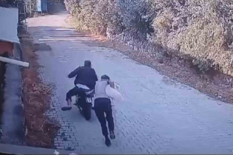 Hatay'da 7 yaşındaki kız &ccedil;ocuğunun '&Ccedil;ıtır' isimli k&ouml;peği &ccedil;alındı!