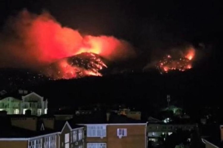 Rusya'da orman yangını!