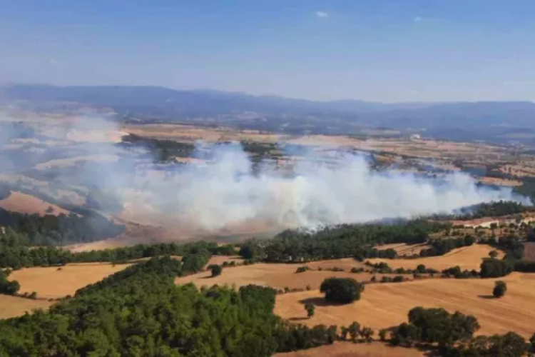 &Ccedil;anakkale'nin &Ccedil;an il&ccedil;esinde orman yangını