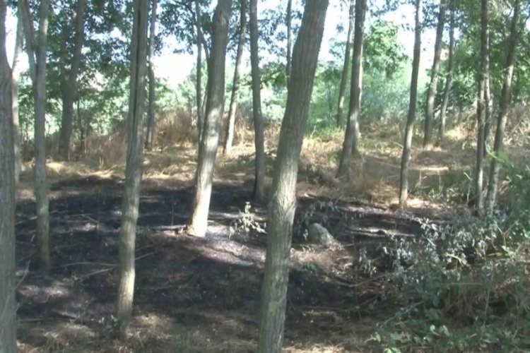 İstanbul'da ormanlık alanda &ccedil;ıkan yangın s&ouml;nd&uuml;r&uuml;ld&uuml;