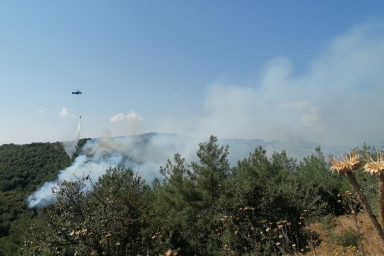 &Ccedil;anakkale'deki orman yangını kontrol altında