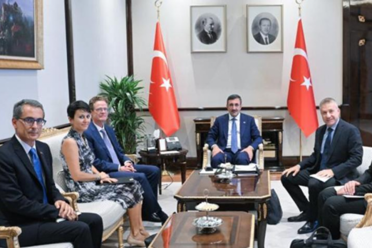 Cumhurbaşkanı Yardımcısı, AB T&uuml;rkiye Delegasyonu Başkanı ile bir araya geldi