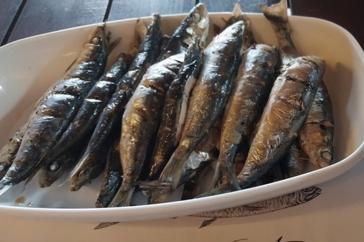 &Ccedil;anakkale'de av sezonunun başlamasıyla sardalya fiyatları geriledi