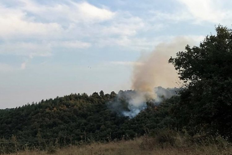 Bilecik'te &ccedil;ıkan orman yangını kontrol altında