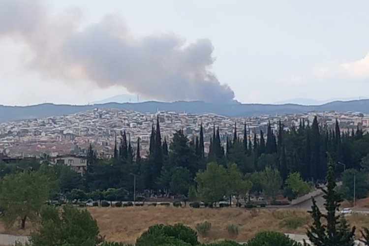 Bursa'da ormanlık alanda yangın