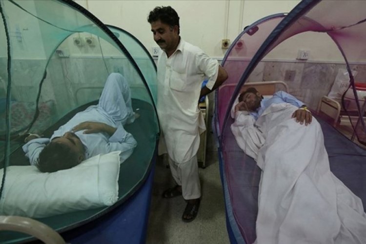 Bangladeş'te dang humması can almaya devam ediyor: &Ouml;l&uuml; sayısı 618'e &ccedil;ıktı