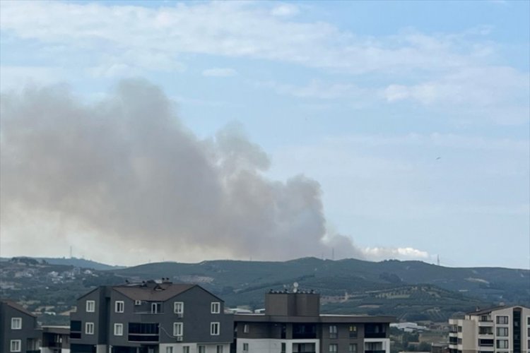 Bursa'da orman yangını kontrol altına alındı!