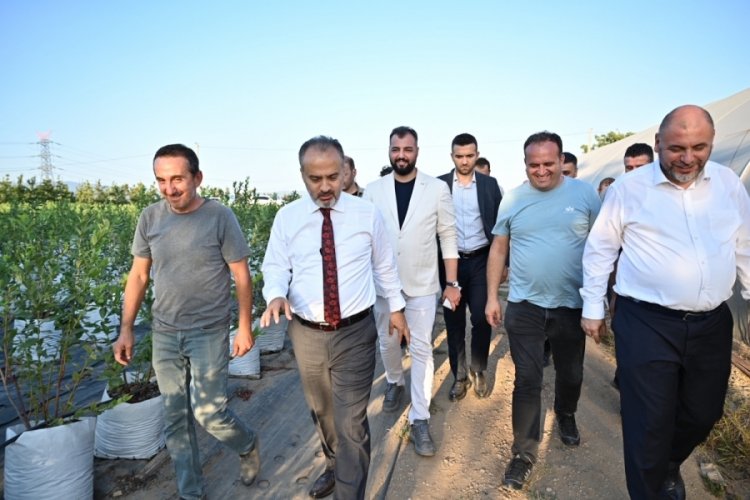 Bursa'da desteklerle tarım, Bursa'nın y&uuml;kselen değeri haline gelmeye başladı