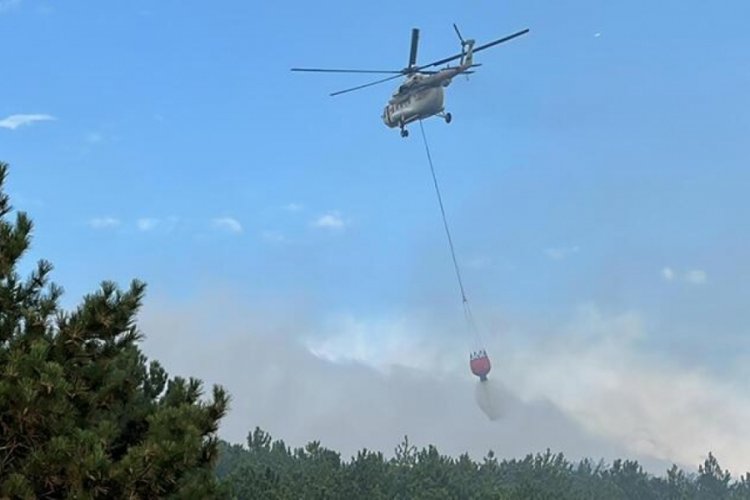 K&uuml;tahya'da orman yangını!