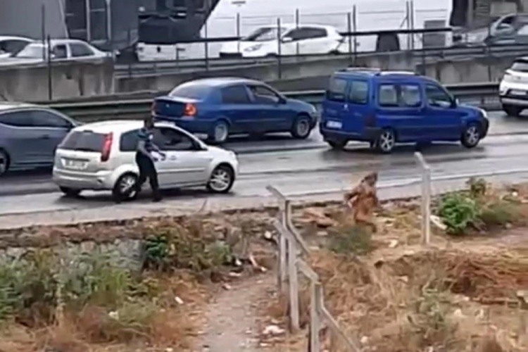 Bursa'da tartıştığı kadını yol kenarında darp etti!