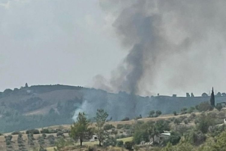 Adana'da orman yangını!