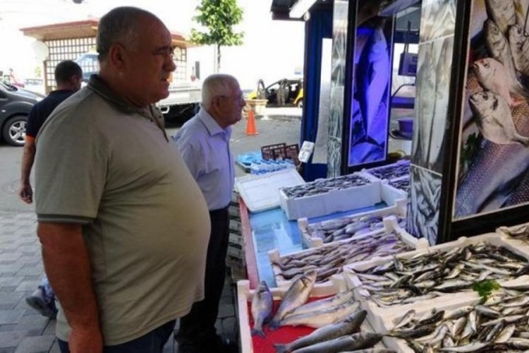 Tezg&acirc;hlarda g&ouml;r&uuml;nmeyen hamsi yerini aldı