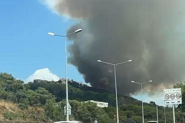 İstanbul Maltepe'de orman yangını!