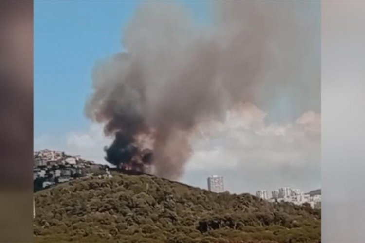 Maltepe'de ormanlık alanda &ccedil;ıkan yangın kontrol altına alındı