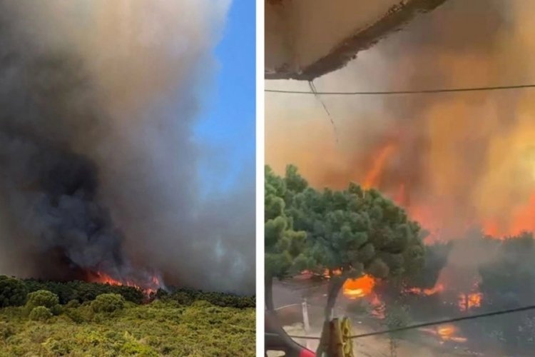 İstanbul'daki orman yangınına ilişkin 2 kişi g&ouml;zaltına alındı