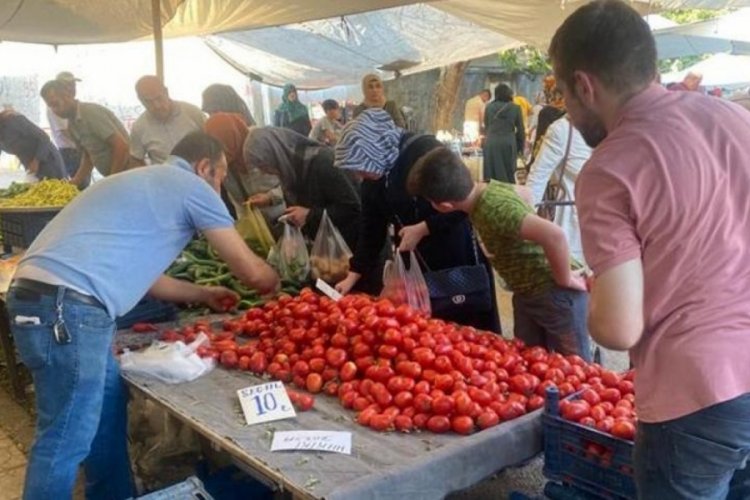 Sal&ccedil;alık domates ve biberler tezgahlarda
