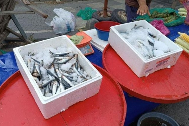 Balıklar tezgahtaki yerlerini aldı, fiyatlar ucuzladı