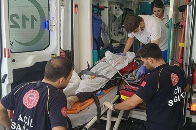 Kocaeli'de ağaca &ccedil;ıkan adamın d&uuml;şerken v&uuml;cuduna dal saplandı! Hayatını kaybetti