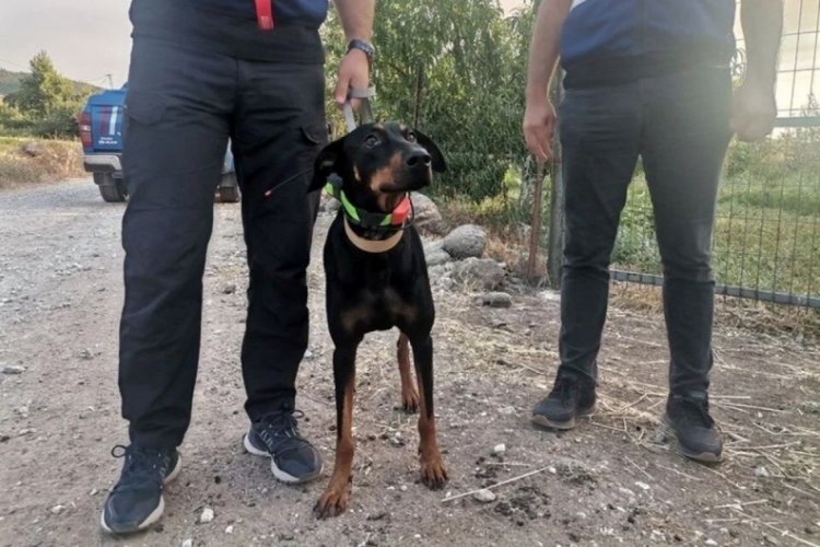 Kayıp ekonomistin eşi Angela Berzeg: Tina'da bir değişim var