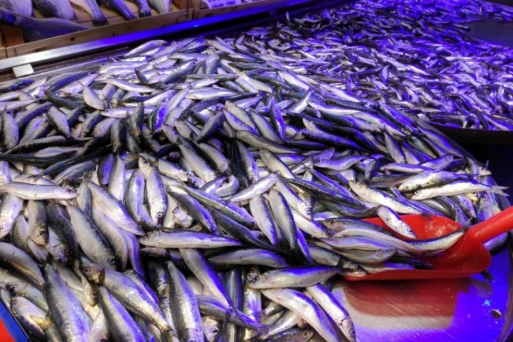 D&uuml;n 60 lira, bug&uuml;n 70 lira, yarın ka&ccedil; para?