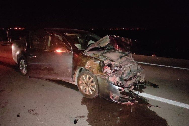 Aksaray'da otomobilin &ccedil;arptığı s&uuml;r&uuml;de 15 koyun telef oldu