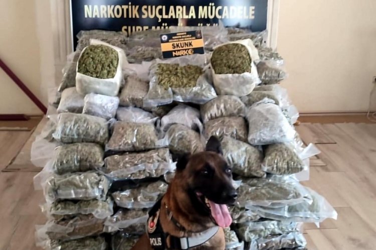 Osmaniye'de 2 otomobilden 103 kilo 700 gram skunk &ccedil;ıktı