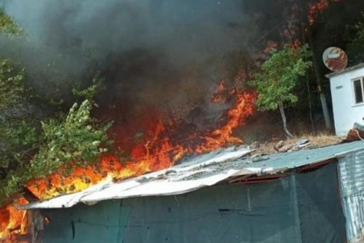 &Ccedil;anakkale Ayvacık'da orman yangını!
