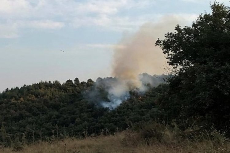 Bilecik'te orman yangını kontrol altına alındı