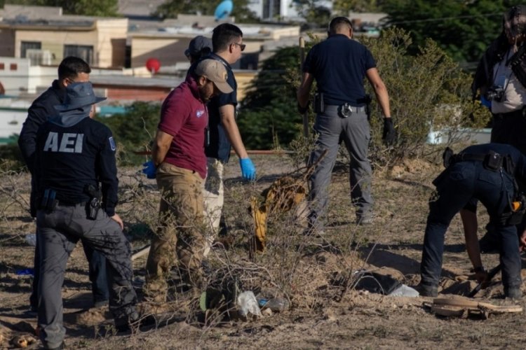 Meksika'da boş arazide 4 kişiye ait insan kalıntıları bulundu
