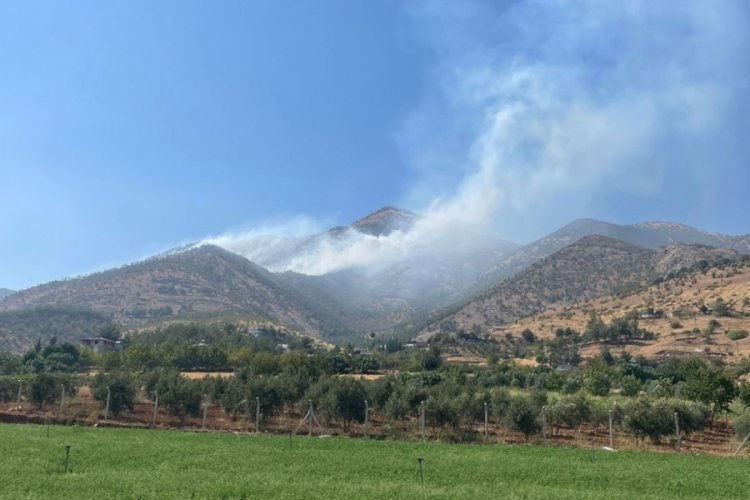 Kahramanmaraş T&uuml;rkoğlu'da orman yangını