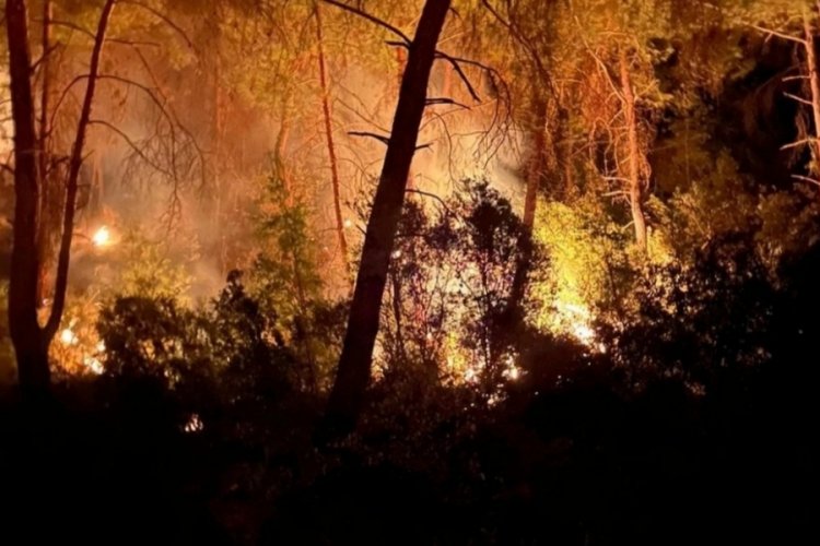 Adana'nın İmamoğlu il&ccedil;esinde 3 g&uuml;n arayla ikinci orman yangını