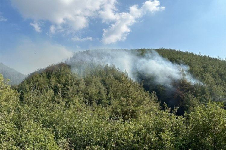 Osmaniye'deki orman yangını kontrol altına alındı