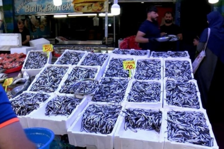 Rize'de hamsinin fiyatı, 100 liradan 50 liraya d&uuml;şt&uuml;