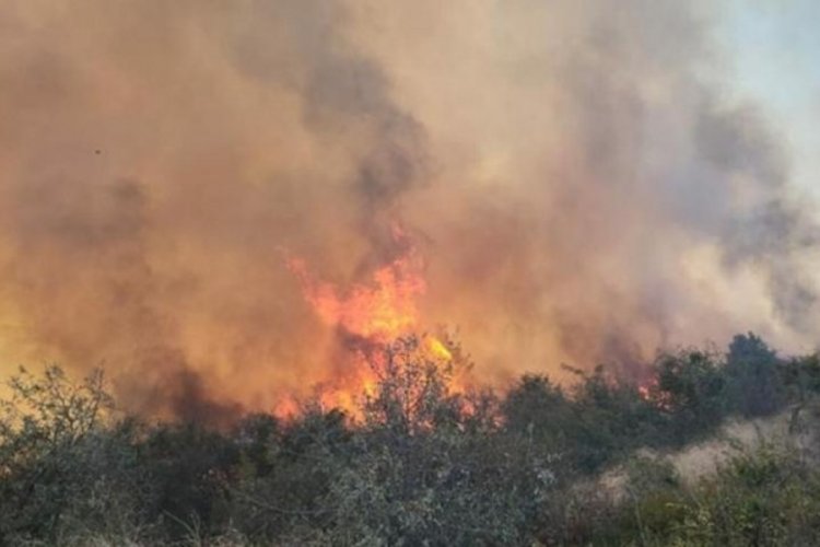 &Ccedil;anakkale'de maki yangını!