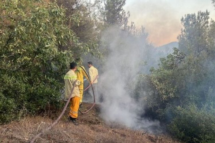 Tokat'ta orman yangını &ccedil;ıktı