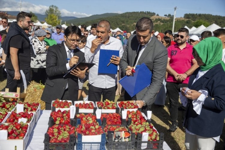 Sakarya'da &Ccedil;ilek Festivali renkli g&ouml;r&uuml;nt&uuml;lere sahne oldu