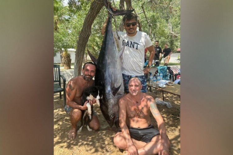 Mersin'de 3 amat&ouml;r balık&ccedil;ı 2 metrelik orkinos yakaladı