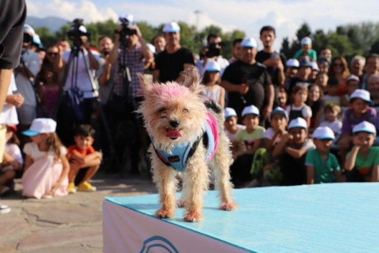 Denizli'de "Pati Festivali" yapıldı