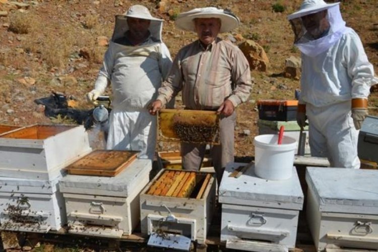 Antalya'da bal rekoltesi d&uuml;şt&uuml;, kilogramı 800 liraya kadar &ccedil;ıktı