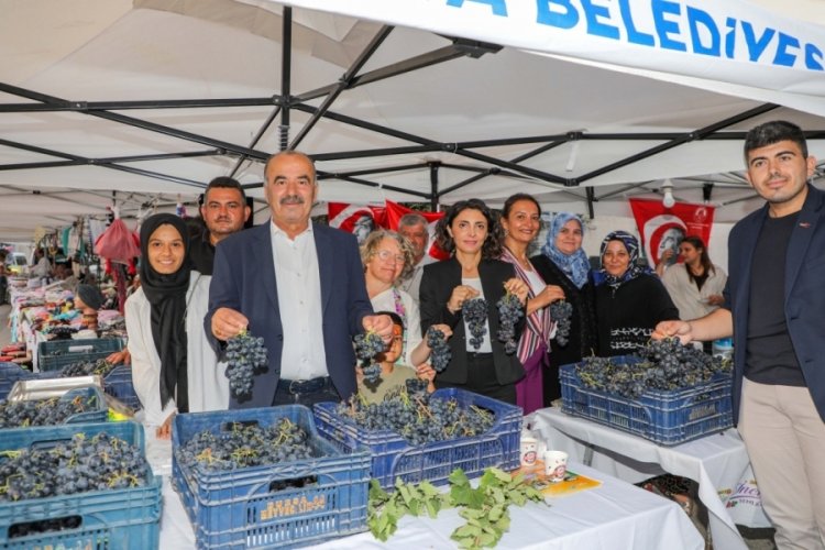 Mudanyalılar &Ccedil;ağrışan Bağbozumu Şenliğinde buluştu