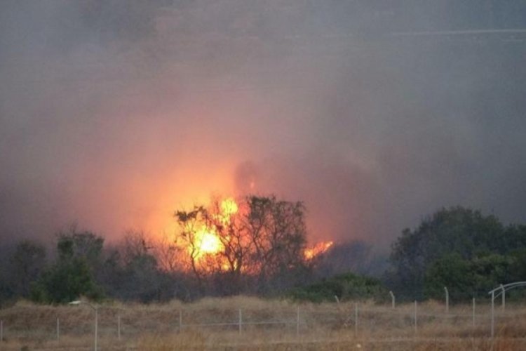 &Ccedil;anakkale'deki orman yangını 16 saatte kontrol altına alındı