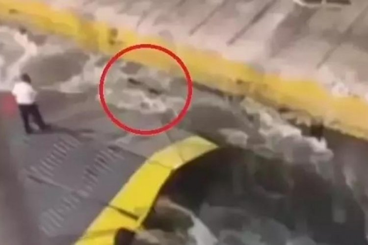 Yunanistan'da feribot skandalı! Bakan istifa etti
