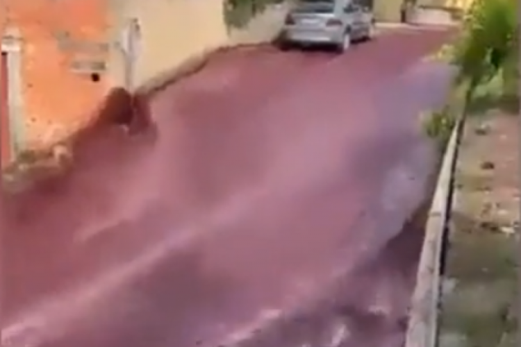 Porketiz'de sokaklar şarap nehrine d&ouml;nd&uuml;!