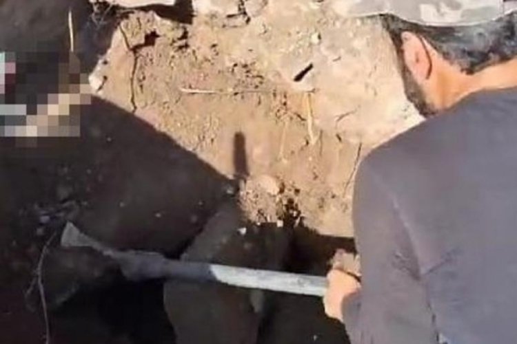 Diyarbakır'da mezarlıkta tepki &ccedil;eken g&ouml;r&uuml;nt&uuml;!