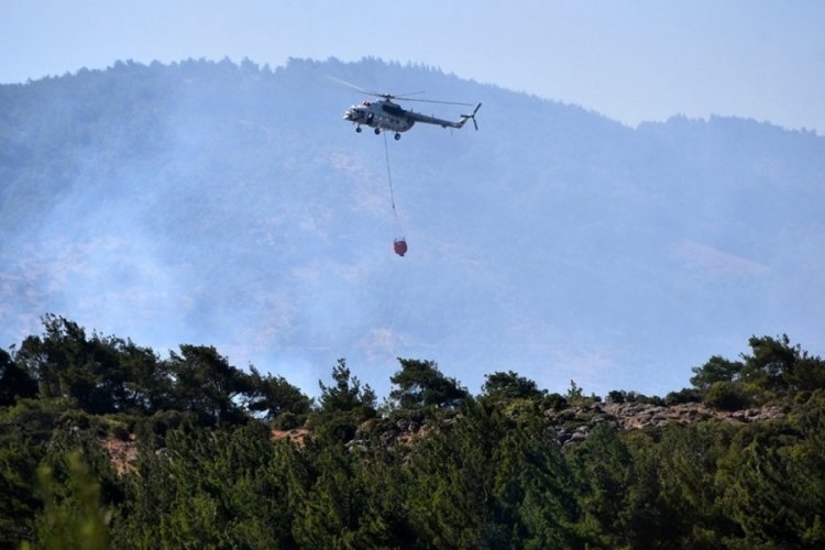 Manisa'daki orman yangını kontrol altında
