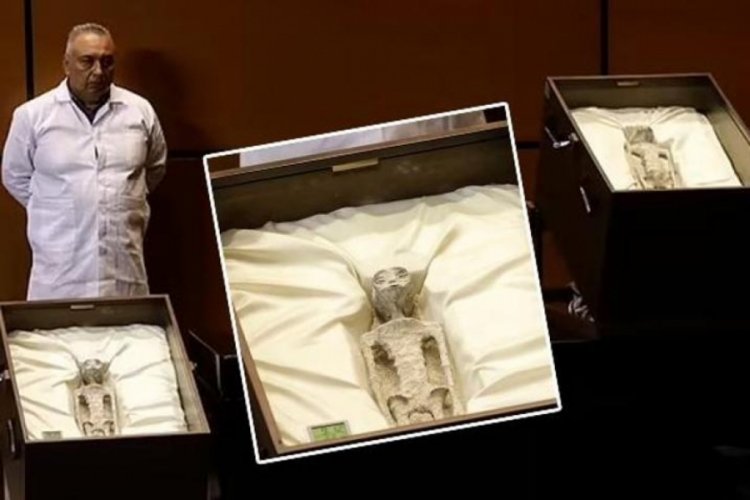 Cesetler 1000 yıllık, d&uuml;nyaya ait değiller... &Uuml;&ccedil; parmakları var, dişleri yok
