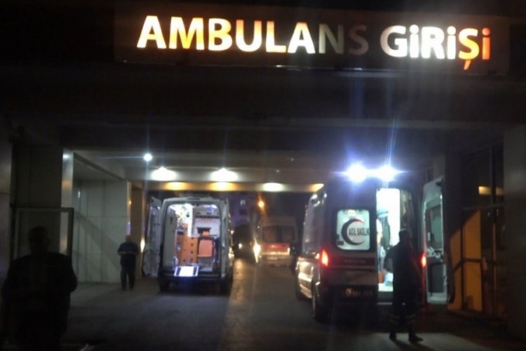 Muş'ta armut toplarken dengesini kaybederek d&uuml;şt&uuml;!